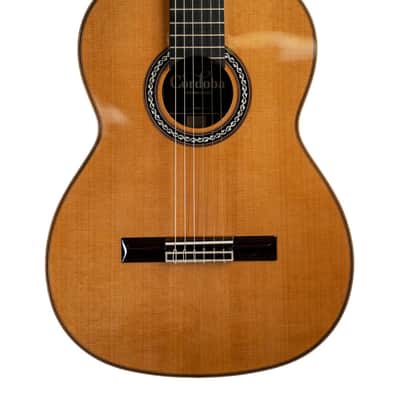 Cordoba C12-CD Canadian Cedar Top Classical Rosewood Back and Sides image 2