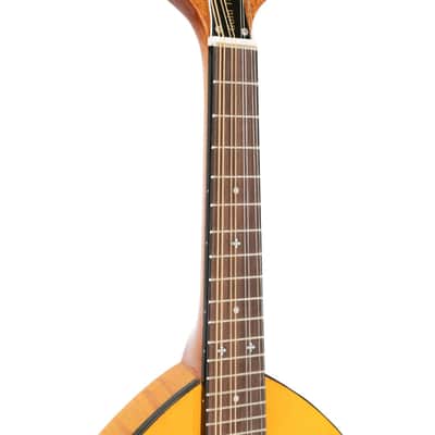 Mint Gold Tone GM-10 Frypan Acoustic Bluegrass Mandolin with Hard Case image 14