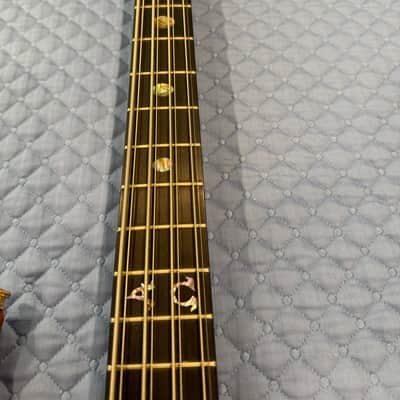 Alembic 8 String Custom Short Scale early 2000's - Coco Bola image 6