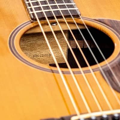 Daion Mark IV Acoustic - Yamaki Made - Serial 80070205 image 15