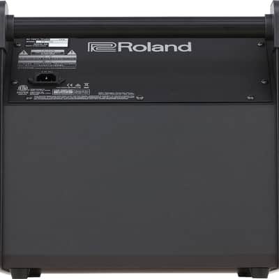 Mint Roland PM-100 High-Resolution 80 W Sound Monitoring for V-Drums image 3
