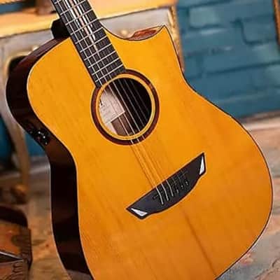 Cort Frank Gambale Signature LUXE II Acoustic-Electric w/Case, Video Demo, Fishman Flex Blend System image 14