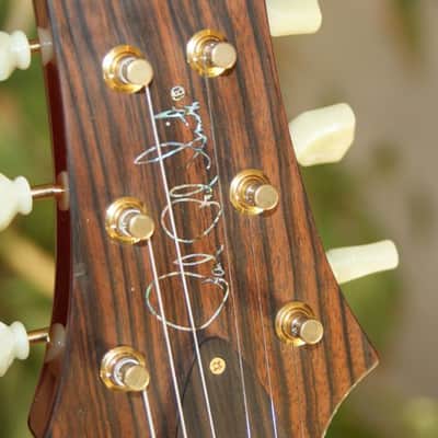 PRS SC 245  Artist image 2
