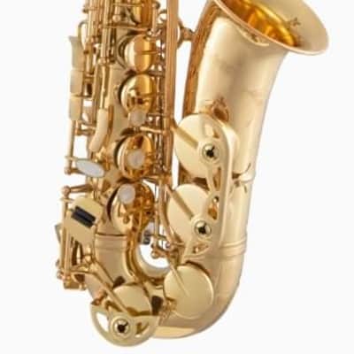 Selmer Alto Saxophone SAS511 Advanced Level Lacquer Finish 24086865 image 2
