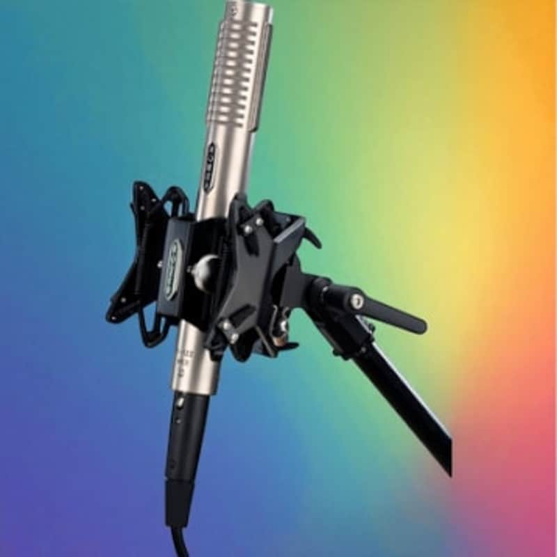 Royer Labs Royer R-122 Mkii-bundled With Rsm-ss1 (sling Shock), R-122 MKII-BNDL image 1