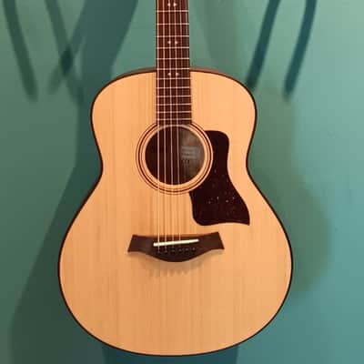 Taylor GT Urban Ash image 10
