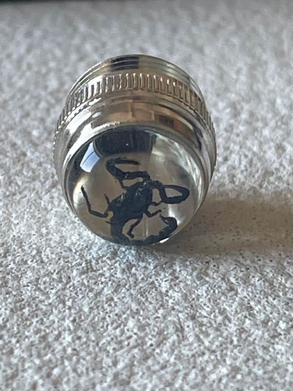 Fender Scorpion Pilot Light Jewel image 1