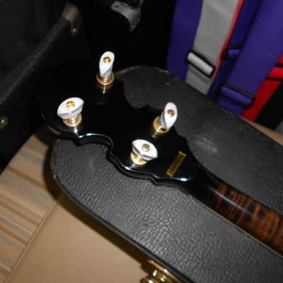 Morgan Monroe Appalachia Gold-Plated Banjo with mother of pearl inlay, 1990 image 6