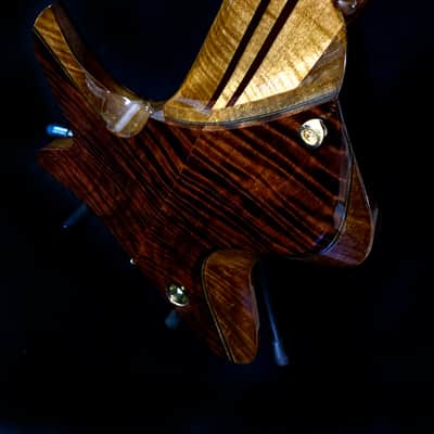 Bezard Guitars Famine 5 String Fretless, Custom Shop, Single Cut Boutique Bass image 24