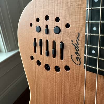 Godin Multiac ACS SA Nylon image 4
