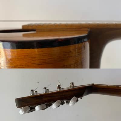 Randolin MN-0-BN 2022 nylon strung mandolin image 4