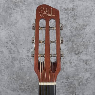 Godin Multiac Steel SA 2010s - Natural image 10