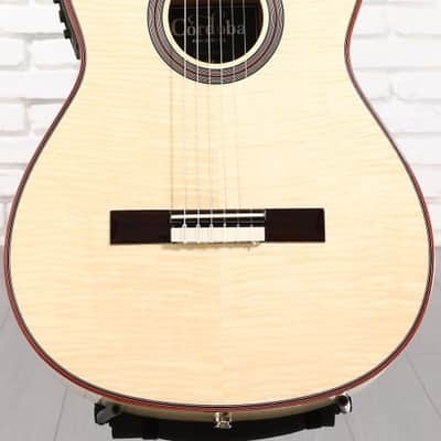 Cordoba Fusion 12 Exotic Top Nylon-string Acoustic-electric Guitar - White Sands (Fus12ExWSd1) image 7