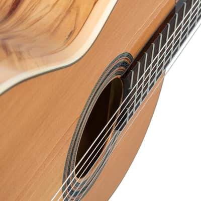 Ortega R20GSNRG Traditional Series Solid Cedar Top Mahogany Neck Nylon 6-String Classical Acoustic Guitar w/Gig Bag image 12