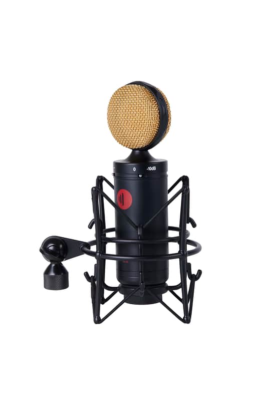 DS-60 Large Diaphragm Condenser Microphone Black image 1