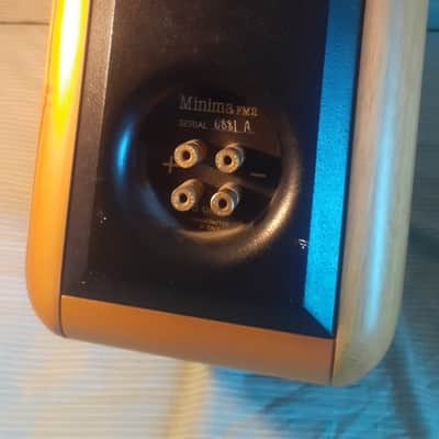 SONUS FABER MINIMA FM2 image 4