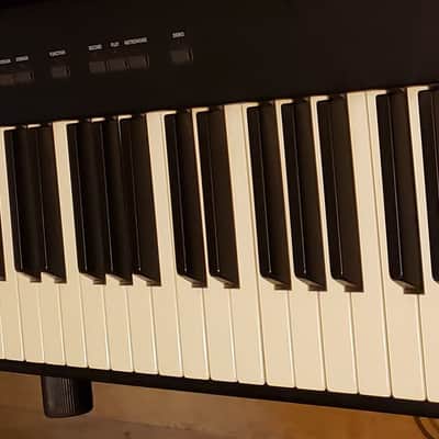 Korg SP-100 Digital Piano-88 Weighted Keys image 2