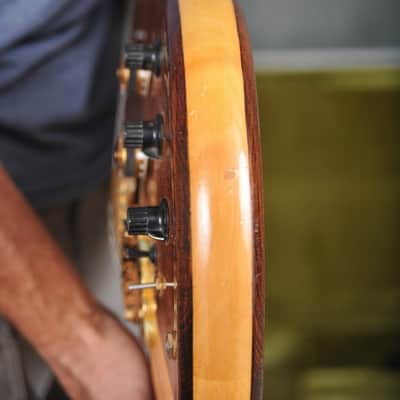 Ibanez Musician MC500 image 15