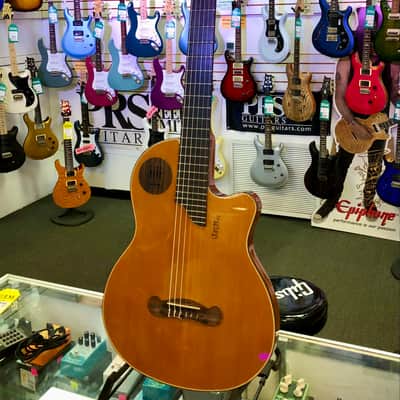 Gibson Chet Atkins Ren Ferguson SST Nylon String Acoustic Electric with Case - Pre Owned image 2