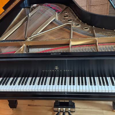Steinway&Sons B 1896 - Ebony Satin image 22