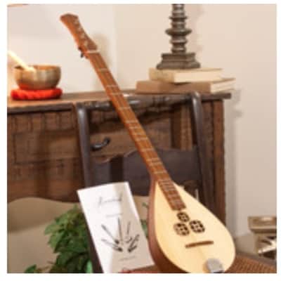 Roosebeck DMWR | Wildwood Dulcimer Rosewood with 3 Round Openings, Flat Pegbox. New with Full Warranty! image 10