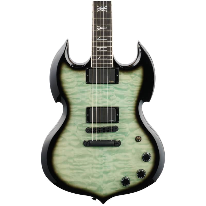 Wylde Audio Barbarian image 2