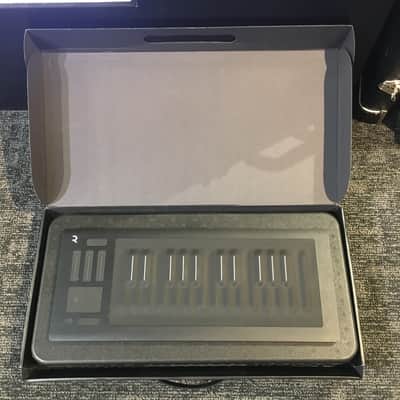 ROLI Seaboard RISE 25 2010s - Black image 1