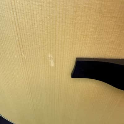 Godin MultiAc Nylon Deluxe Acoustic Electric with Gig Bag - Pre Owned image 6