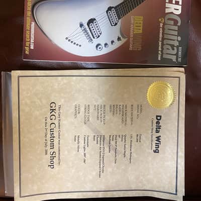 Gary Kramer Tomcat 2006 Custom Shop Silver image 9