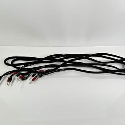 AudioQuest Rocket 33 Speaker Cable Bi-Wire (Pair) 10ft image 1