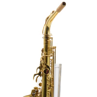 Eastman Model EAS650 'Rue Saint-Georges' Alto Saxophone SN A2440458 RENEWED image 15