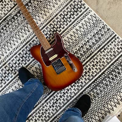 Fender Player Plus Nashville Telecaster with Pau Ferro Fretboard 2023 - Present - Sienna Sunburst image 2