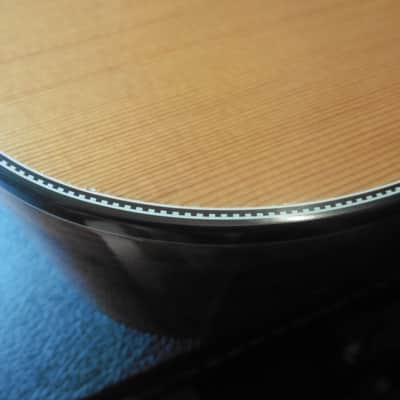 1978 Eko Rio Bravo 12 (Best Around) + Pro Setup + TKL Case (#32) image 5