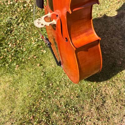 Westbury Eastman cello 4/4 - Hand varnish image 8