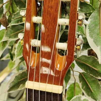 Denver DC44N-NAT Full-Size Nylon String Classical Guitar - Natural image 6