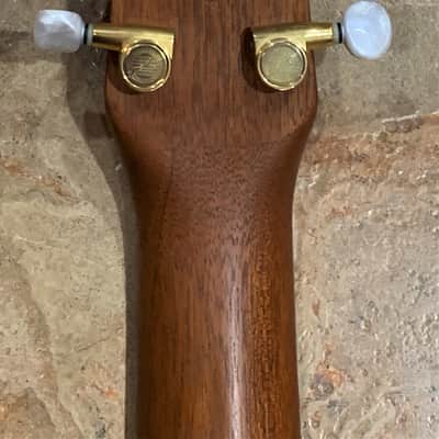 Seagull Mosaic CW Mahogany & Cedar Artist Series Aged Cutaway Beauty! image 17