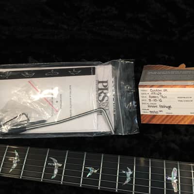 Paul Reed Smith Custom 24 Artist Autumn Sky Pattern Thin image 4