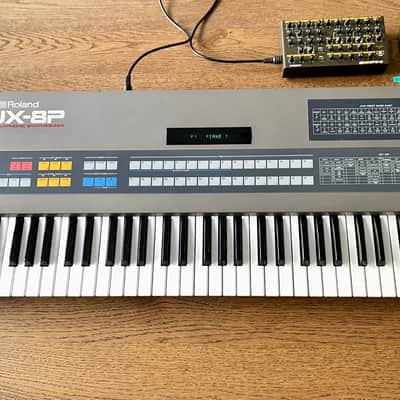 Roland JX-8P Classic 1985 Analog Synthesizer + Retroaktiv MPG-8 Programmer - Excellent image 14