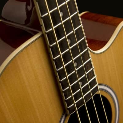 Washburn AB5 | 4-String Acoustic Bass w/ Electronics & Gig Bag. New with Full Warranty! image 9