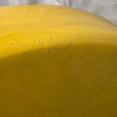 Gibson LPSP00TVNH1 Les Paul Special Guitar with Case 2020 - TV Yellow image 22