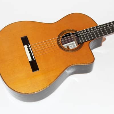 Cordoba Fusion Orchestra PRO CE CD/IN Acoustic-Electric Nylon String Classical Guitar image 2