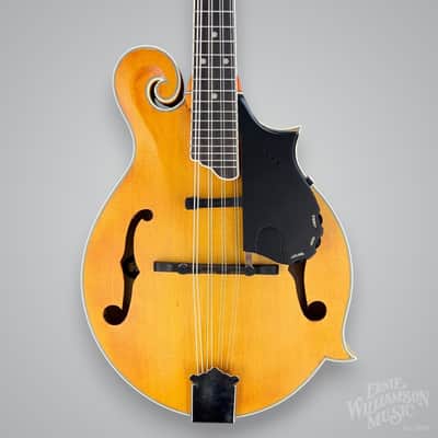 Epiphone MM-50E Professional Mandolin 2010s - Vintage Natural Bild 2