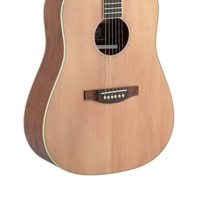 JN Guitars Asyla 4/4 Dreadnought Acoustic Guitar - Natural - ASY-D image 1