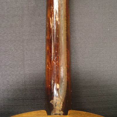 RARE Vintage 1920s Melody Major Banjolin (Banjo Mandolin) With Original Case  Natural image 17