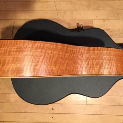 Martin XC1T Ellipse w/Fishman Ellipse Matrix Blend image 7