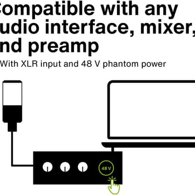 Immagine Lewitt Audio LCT 440 PURE Large-Diaphragm Condenser Microphone+Shockmount - 5