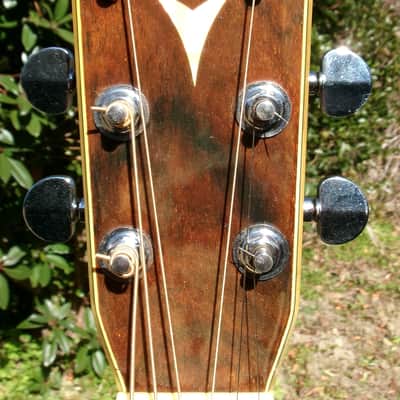 1976 Yairi YW-600 Dreadnought Guitar New Jacaranda + Yairi Hard Case image 6