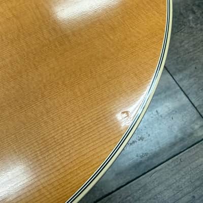 1994 Guild GV-52 NT Acoustic Electric Guitar image 6