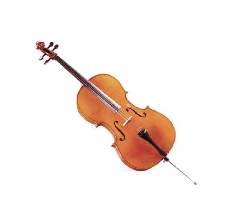 D Z Strad Model 120 Cello w/Case & Bow image 1