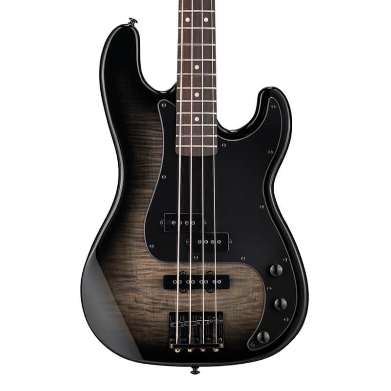ESP LTD Surveyor-204DX image 4